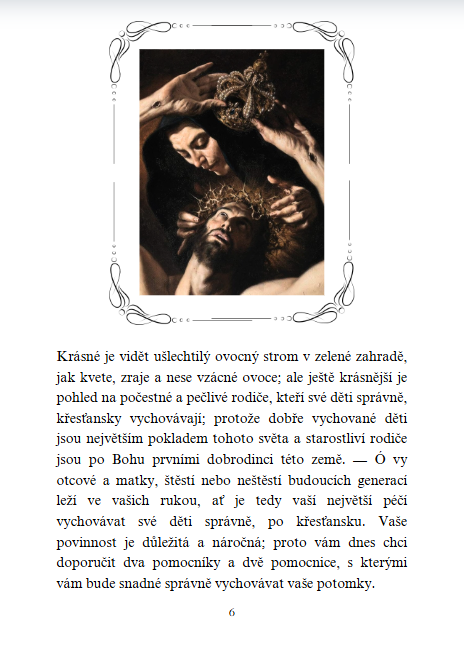 7 BOLESTÍ PANNY MARIE V DNEŠNÍ DOBĚ