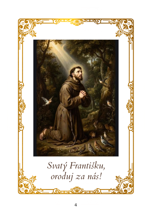 Průvodce Jubilejním rokem sv. Františka